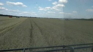 15:30 по Москве