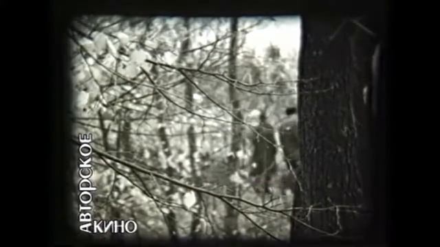 Авторское кино Пензы. Роман Николаевич Попрядухин смотреть онлайн