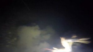 Охота на огромных раков ночью