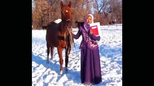 Отзыв нового владельца Эдины из г. Талдыкоргана Казахстан ЦЕНЫ по лошадям на канале +79883400208