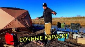 ЗАКРЫТИЕ СЕЗОНА ПО КАРАСЮ | РЫБАЛКА С НОЧЁВКОЙ