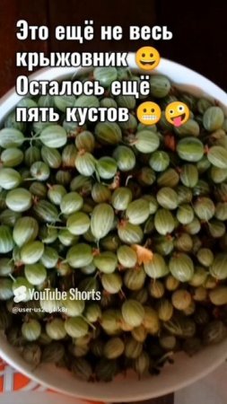 Немного на компот набрали