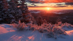 Lara Fabian.       "Мама моя"   (всем мамам посвящается)    музыка Игорь Крутой   слоава Лара Фабиан