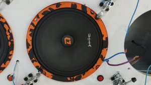 Barracuda 165 от DL audio. Обзор.
