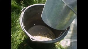 Зерноочиститель