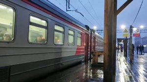 Электропоезд ЭД4М-0349 "Котопес" Платформа Ольгино