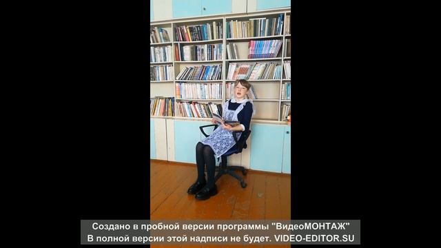 Анастасия Д 4а класс МБОУ «Солянская СОШ» читает стихотворение С. Михалкова «А что у вас?»