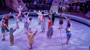 цирк Никулина. начало представления.