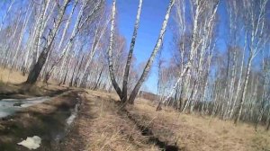 На веломоторе т100 к реке Иня,ледоход,Изынский,14.04.2022