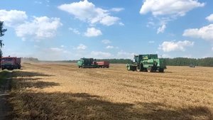 Убираем горох, все в сборе Акрос 595+, Дон 1500Б, КАМАЗ 55102