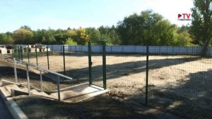 «Собаки не замерзнут»: в Воронеже открылся первый муниципальный приют для бездомных животных