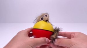 HIGH VOLTAGE Toys #14 | Cat Meme