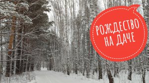 Рождество на даче #печуркинадача #дача #зиманадаче