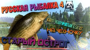 🎣Русская Рыбалка 4🐟 Карп Чешуйчатый🐠 Старый Острог🔥