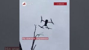 День рождения «АиФ», дрон «когти ястреба» и настоящие мужики из Якутии – итоги дня