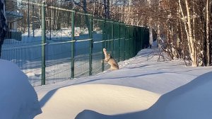 Вышла в люди. ТК «Первый Советский»