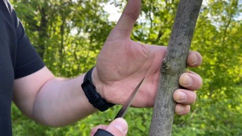 Обзор и тест ножа Owl Knife Pocket , сталь M390. Справится ли малыш с тяжёлой работой?