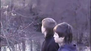 Падение самолёта под Смоленском