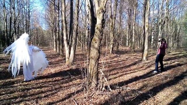 Большие крылья ангела