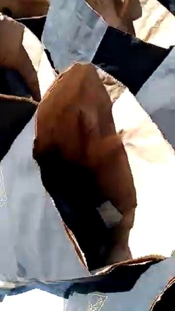 Древесный уголь смотреть онлайн