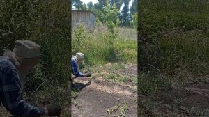 Как с помощью мешка прополоть лук.  Игнатий Лапкин