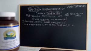 Лецитин НСП   фосфатидилхолин   какая польза