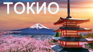 Токио. Путешествие по столицам мира #япония #интересныефакты #путеводитель