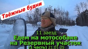 11 заезд Едем на мотособаке на Резервный участок (1 часть) 21 01 25