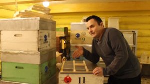 Обзор самодельных нуклеусов для вывода маток