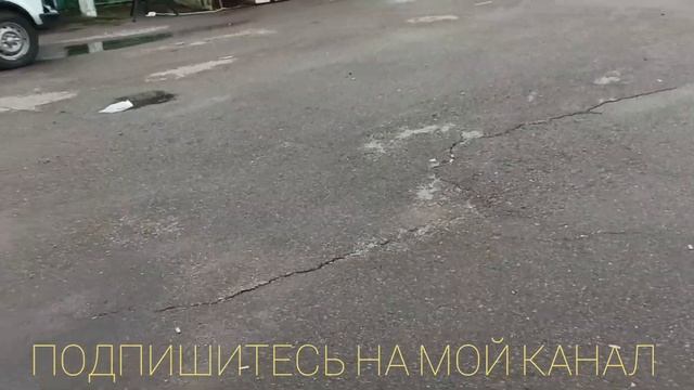 Николаевские голуби. Выставка - ярмарка голубей п.Новониколаевский Волгоградская обл. 24.04.21