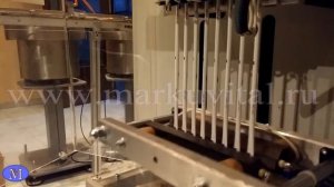 оборудование для фасовки сахара в "сахарные стики" MSM 350 L