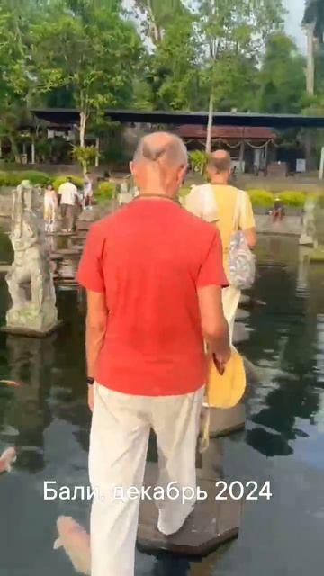 ✨Прогулка с Бхакти Вигьяна Госвами Махараджем в красивом парке на Бали (декабрь 2024) смотреть онлайн