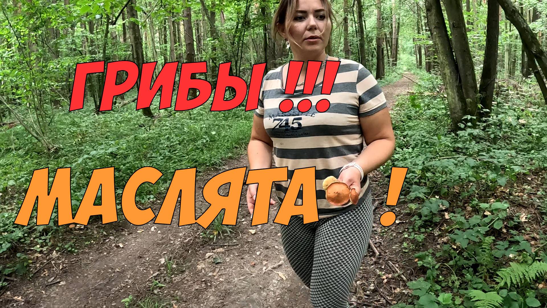 Собираем Маслята! Сезон благородных грибов открыт!