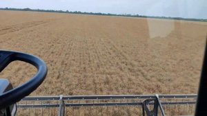 убираем лён