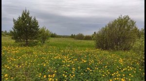 Кайсын Кулиев  Гроза #поэты20века #балкарскийпоэт#стихиожизни