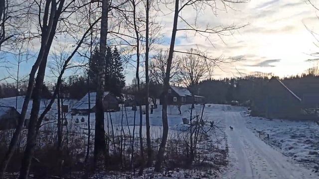 Прогулка и приключения на хутре Литвы смотреть онлайн