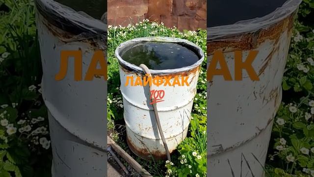 БЮДЖЕТНО ЛАЙФХАК БОЧКА 200 литров МЕШОК 240 литров 💯💯💯... смотреть онлайн
