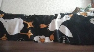 VID_20250123_150000.mp4