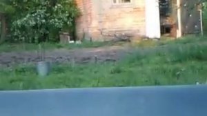 Лазерный целеуказатель LaserScope зеленый.