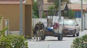 ослик с тележкой