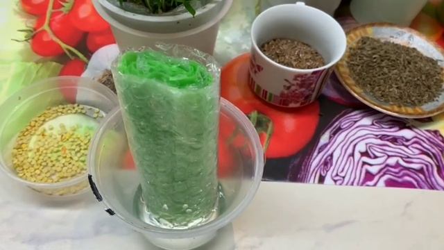 КАК ПРОВЕРИТЬ ВСХОЖЕСТЬ СЕМЯН🌶️🍅🌽 ? /ПРОРАЩИВАНИЕ СЕМЯН КАК ТЕСТ НА ИХ ВСХОЖЕСТЬ смотреть онлайн