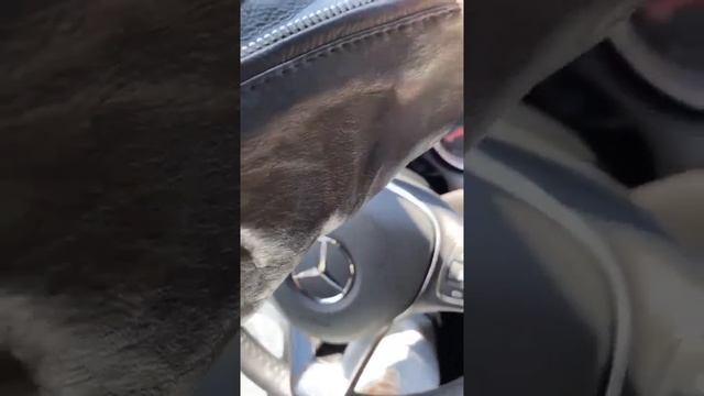 Лучшие сторис mmmargaaret (@Маргарита Овсянникова) подборка 🔥 от Undelete News за 22.04.2020 смотреть онлайн