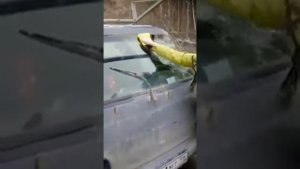 Как отмыть рабочий грузовик. Отзывы Гринвей