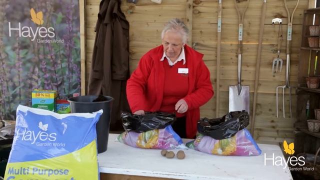 How do I grow First Early Potatoes in bags and containers | Hayes Garden World смотреть онлайн