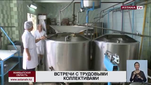 Производители сыра в Жамбылской области обратили внимание мажилисменов на нехватку сырья смотреть онлайн