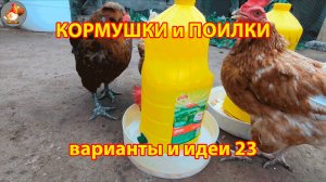 Кормушки и поилки для кур своими руками 23 🪚🪛 Пошаговая инструкция как сделать 🐔 🐓❣️