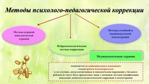 Психолого - педагогическое сопровождение детей дошкольного возраста с СДВГ