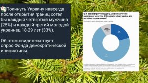 Николаев 23 января 2025 года