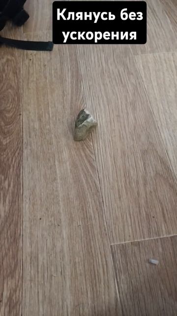 Я мамой клянусь я не ускаряла смотреть онлайн