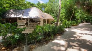 #Мальдивы Soneva Fushi Maldives - тур по местам общего пользования курорта.